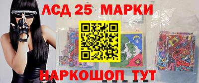 спайс Кингисепп