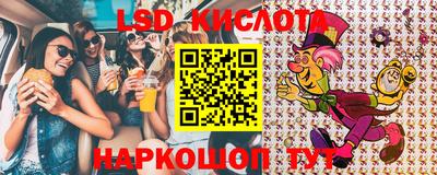спайс Кингисепп