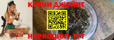 спайс Кингисепп