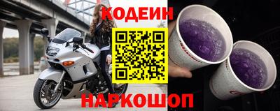 спайс Кингисепп
