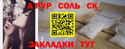 спайс Кингисепп