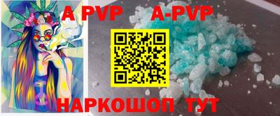 спайс Кингисепп