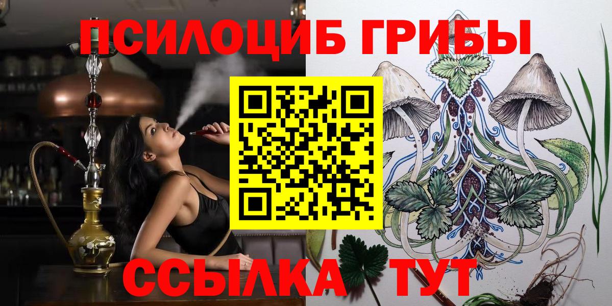 Волгоград  Псилоцибиновые грибы мицелий  Вход с VPN 